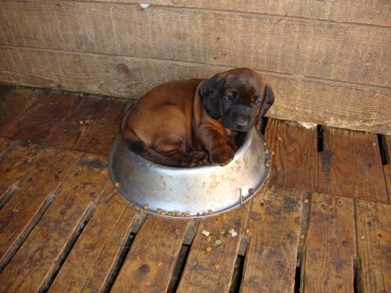 tak a teraz tu nikoho nepustim:)