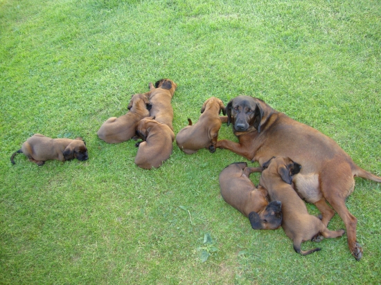 aj tak je pri mamicke vzdy najlepsie