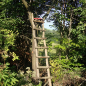 velmi jednoduchá ale poslúži