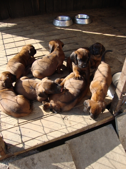 len tak si oddychujeme