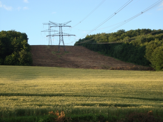 raj pre diviaky no peklo pre honca