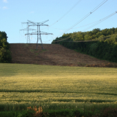 raj pre diviaky no peklo pre honca