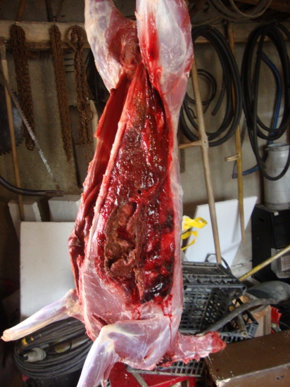 Sellier&Bellot  7x57R