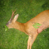 prvý je vždy najkrajší