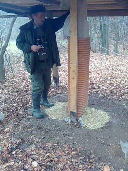 prikrmovanie sa začína