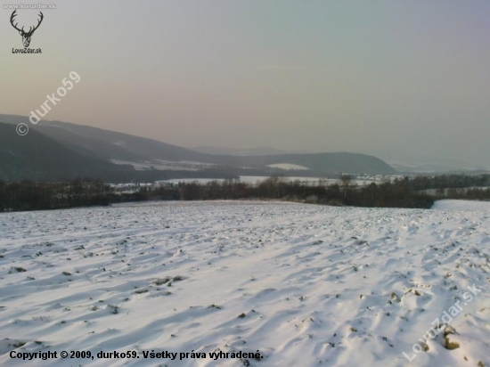 zasnežena krajina