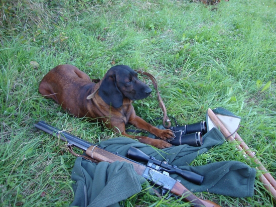 Hala Demjanka-na postriežke