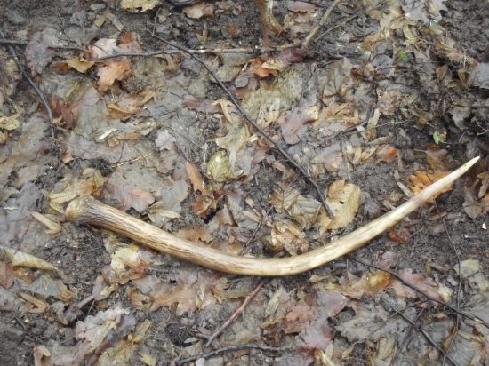 Na začiatok malý ale potesil