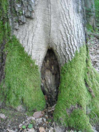 chlapi...čo vám to pripomína...?