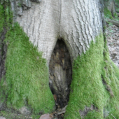 chlapi...čo vám to pripomína...?