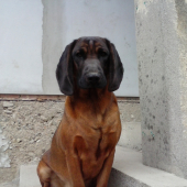 Ajda