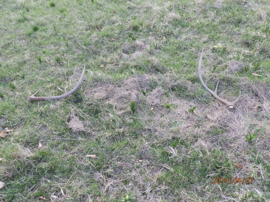 Takto si tam ležali