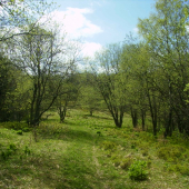 tešíme sa na jar..