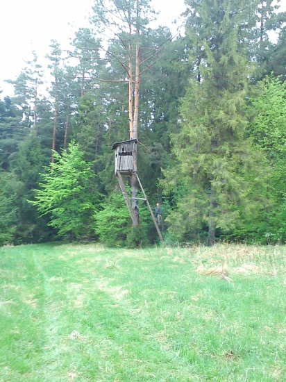 Starší posed ....:D