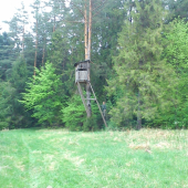 Starší posed ....:D