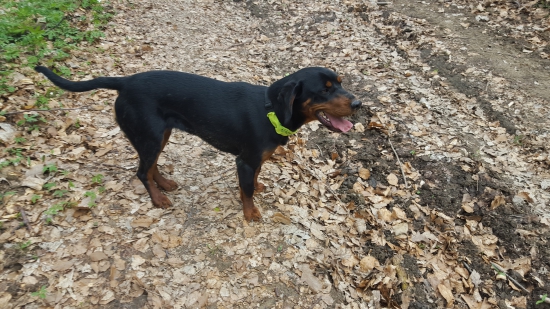 Bety spod Sninského vek 10 a pol mesiaca