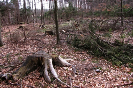 prvy pohľad, už som ani nedufal