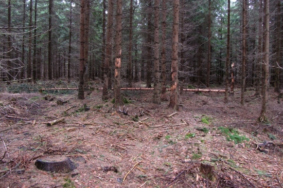prvy pohľad, chutilo mu