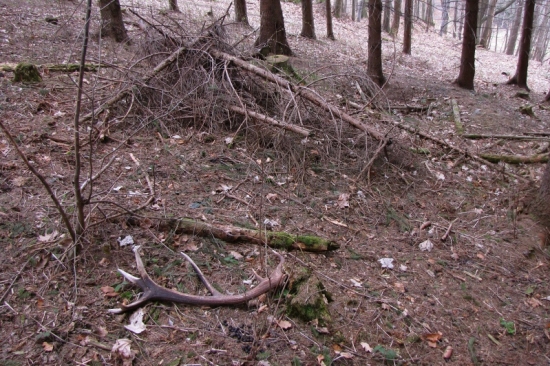 zhod 14-torak -borišovský