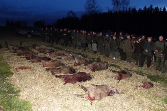 Spoločná polovačka