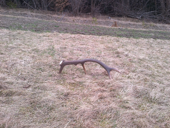 Na Bielu sobotu prvý pohľad 12 torák