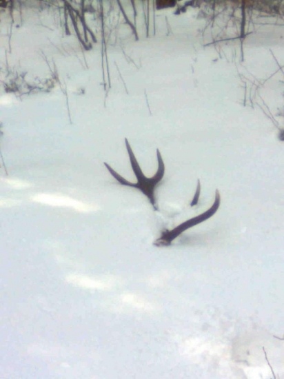 10 torák kamarátov