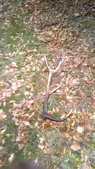 Dnesna vecerna prechacka