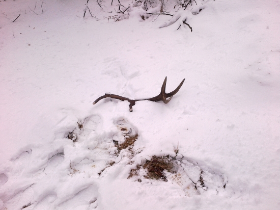 Kamaratov  spomienka