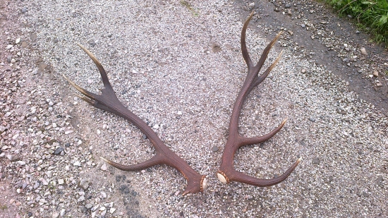 po roku a pol sú spolu