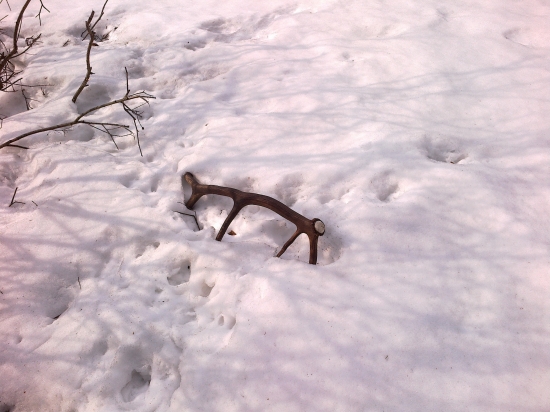 tak to tam na mna čakal