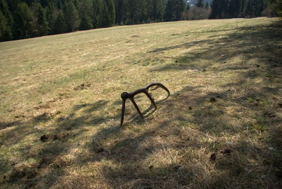 10 torak minulo ročny