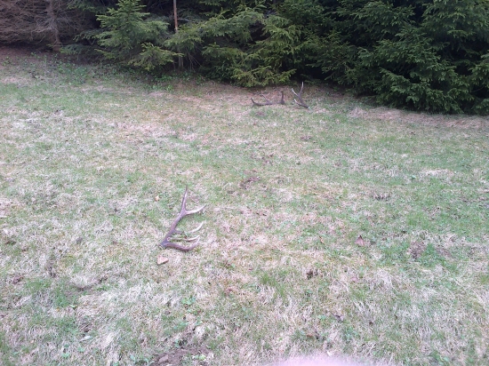 takto tam na mna cakali