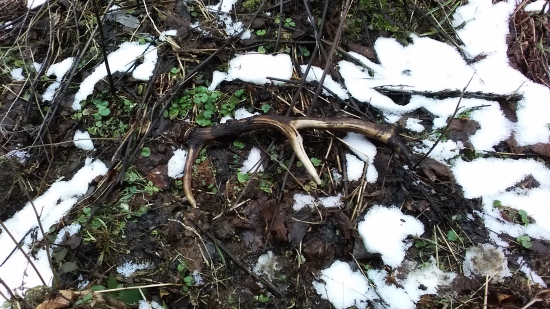 7/2016......8torak :)