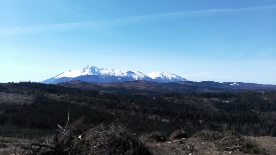 Tatry z magury