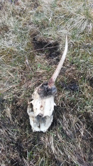 Druhý nestihol zhodiť