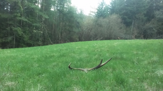 Ten pohľad stojí za to !!!!!!