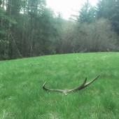 Ten pohľad stojí za to !!!!!!