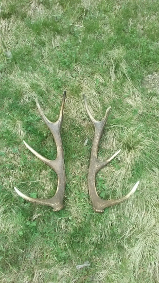 Ešte jedna z blýska