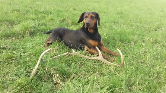 Malé ale veľa radosti