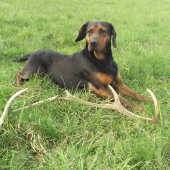 Malé ale veľa radosti