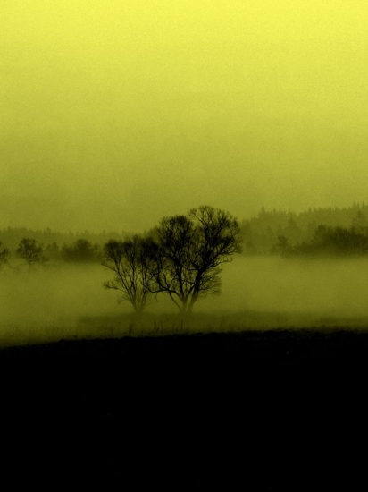 Šumava