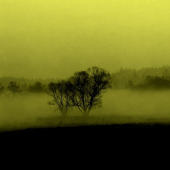 Šumava