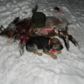 Včerejší čekaná