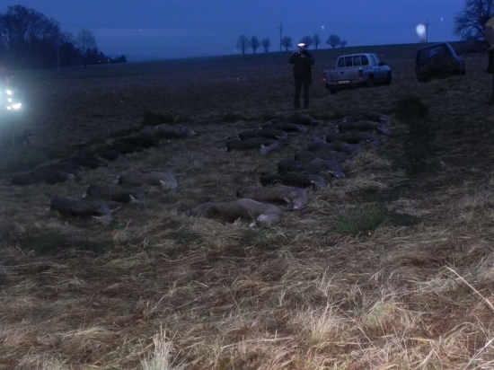 Víkendová naháňka