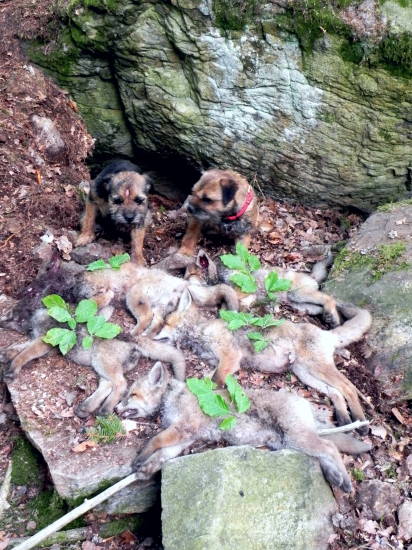 Opět se nám zadařilo