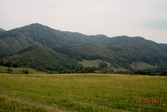priroda