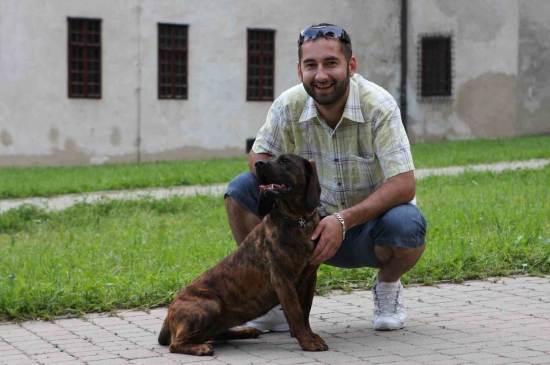 Stefano a Mira