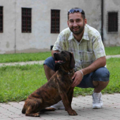 Stefano a Mira