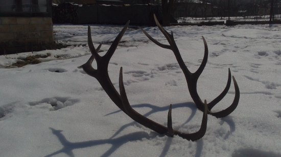 Veľkonočná výslužka