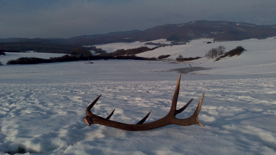 14 torák z páru 201171